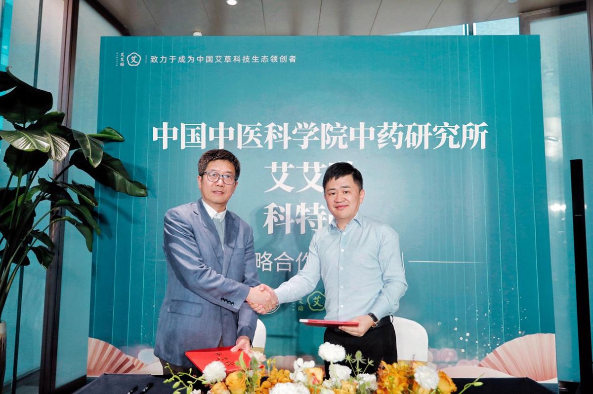 当艾艾贴遇上艾草，你儿时的回忆都在这里了2